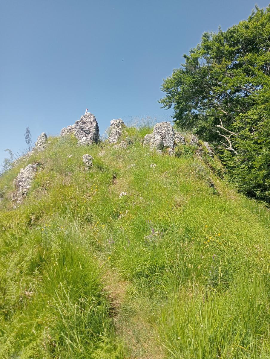 Castagno del Diavolo, Monte Palodina e Monte Penna da Cardoso - foto 7