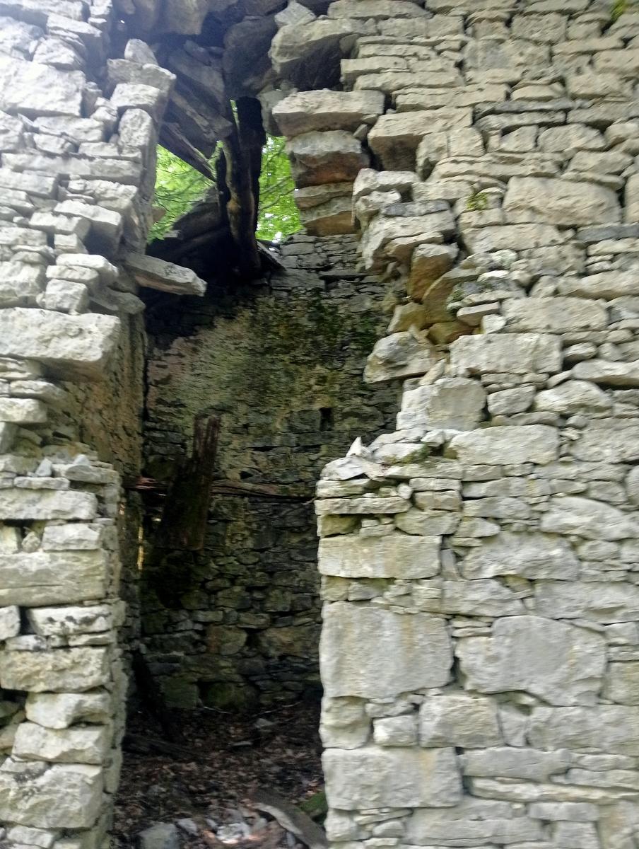 Castagno del Diavolo, Monte Palodina e Monte Penna da Cardoso - foto 9