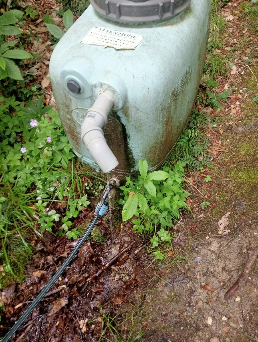 Castagno del Diavolo, Monte Palodina e Monte Penna da Cardoso - foto 18