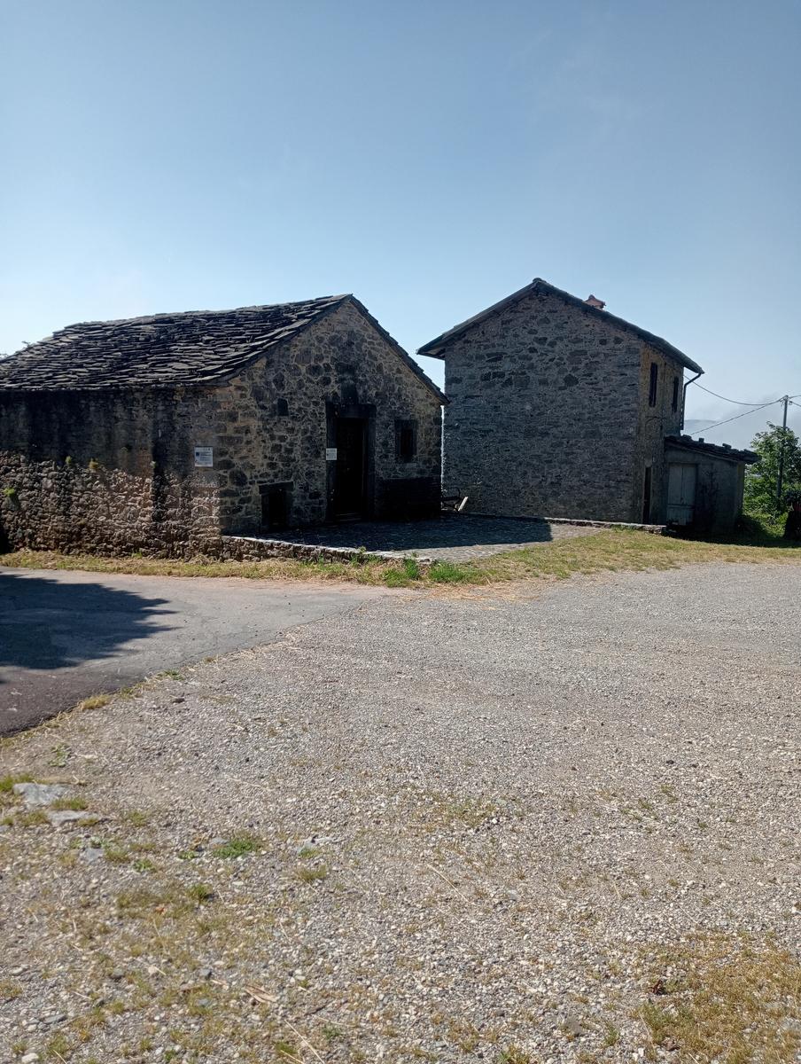 Castagno del Diavolo, Monte Palodina e Monte Penna da Cardoso - foto 20