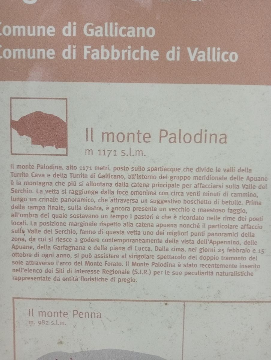 Castagno del Diavolo, Monte Palodina e Monte Penna da Cardoso - foto 22