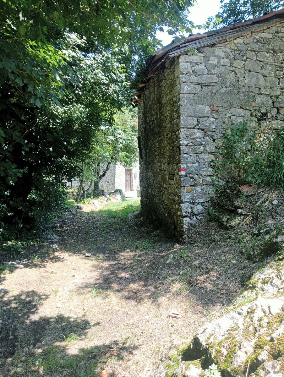 Castagno del Diavolo, Monte Palodina e Monte Penna da Cardoso - foto 23