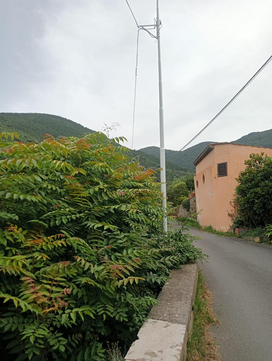 Agnano - Foce Di Calci - Fiume, Bagni - foto 2