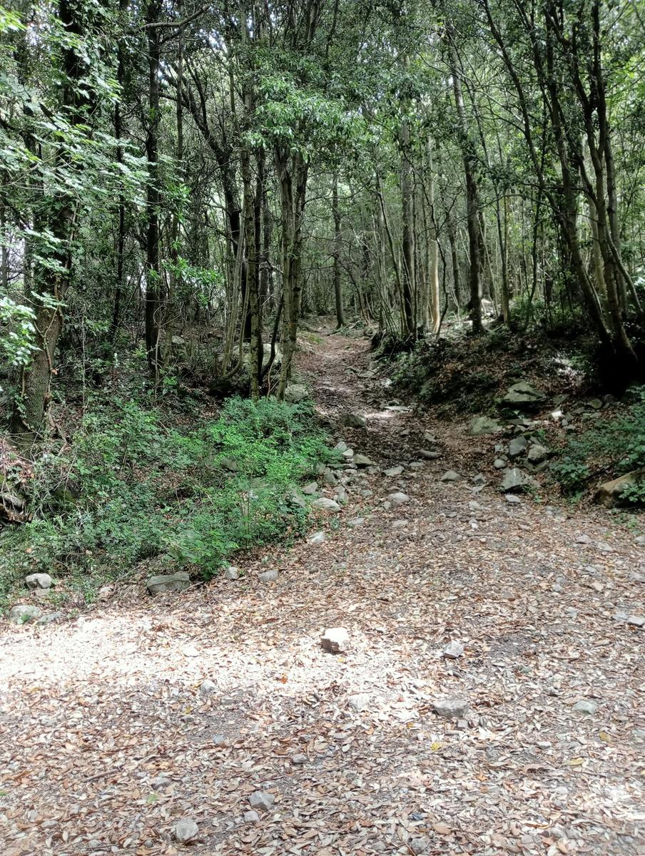 Agnano - Foce Di Calci - Fiume, Bagni - foto 4