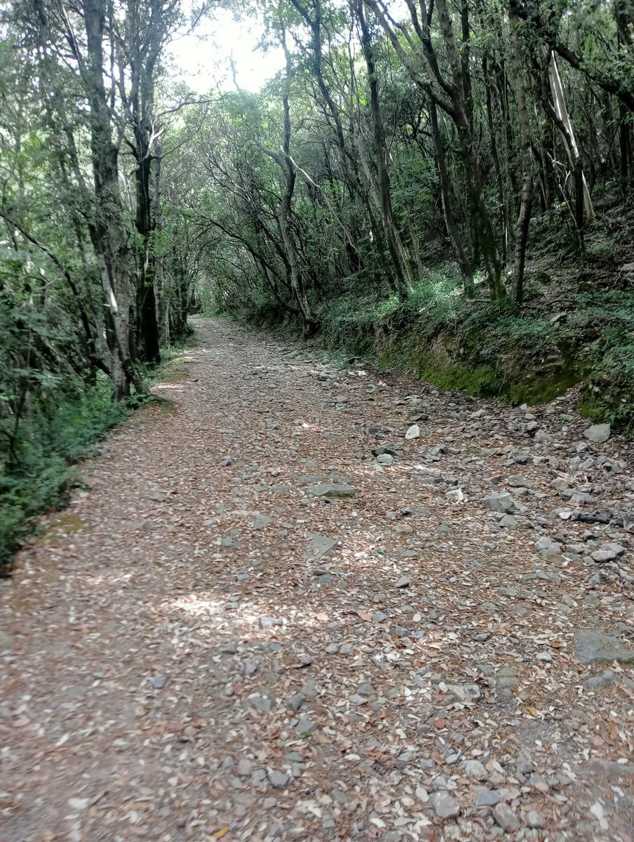 Agnano - Foce Di Calci - Fiume, Bagni - foto 5