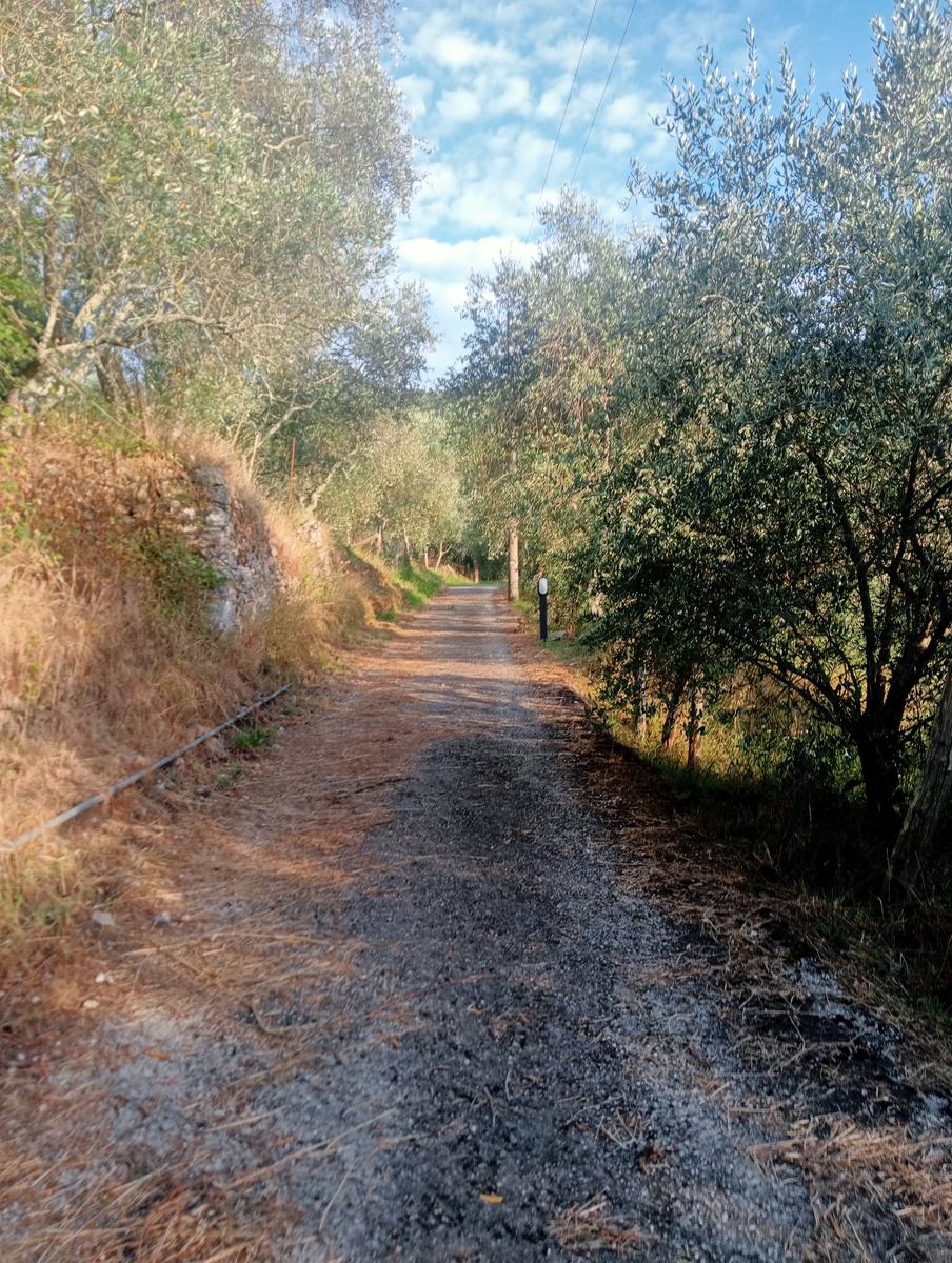 Convento Di Nicosia, Monte Verruca e La Focetta da Caprona