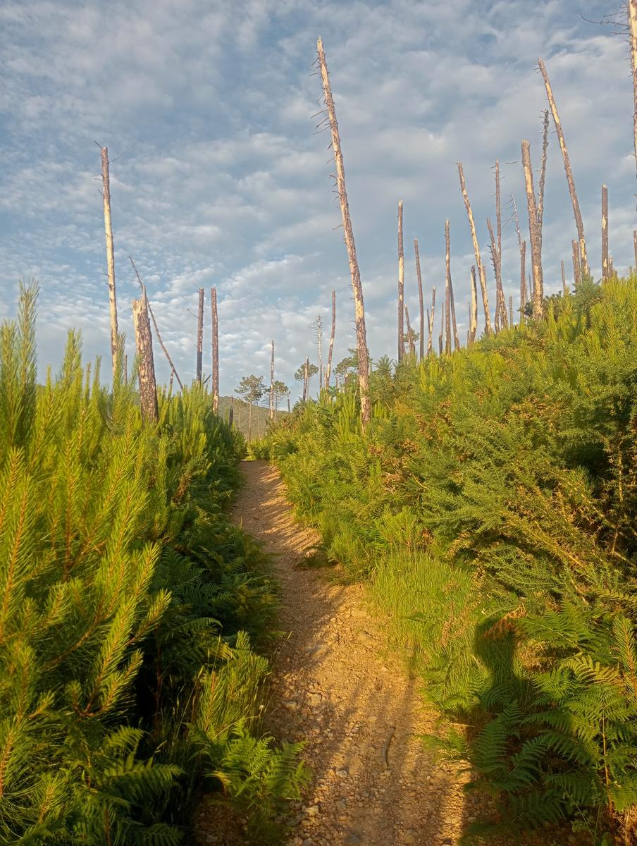 Convento Di Nicosia, Monte Verruca e La Focetta da Caprona - foto 3