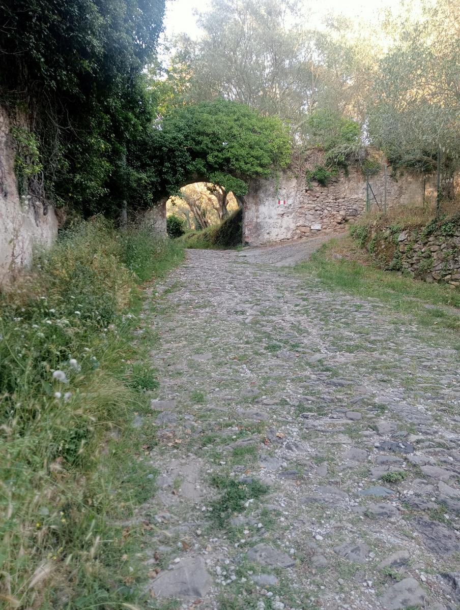 Convento Di Nicosia, Monte Verruca e La Focetta da Caprona - foto 8
