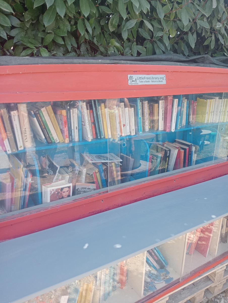 Massaciuccoli via delle erbe e fiori di loto - foto 6