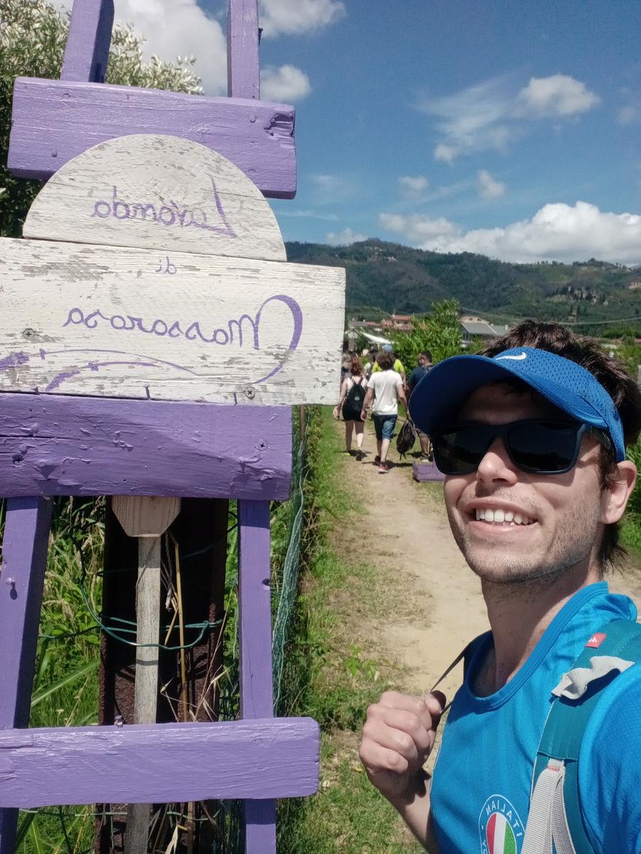 Massaciuccoli via delle erbe e fiori di loto - foto 7