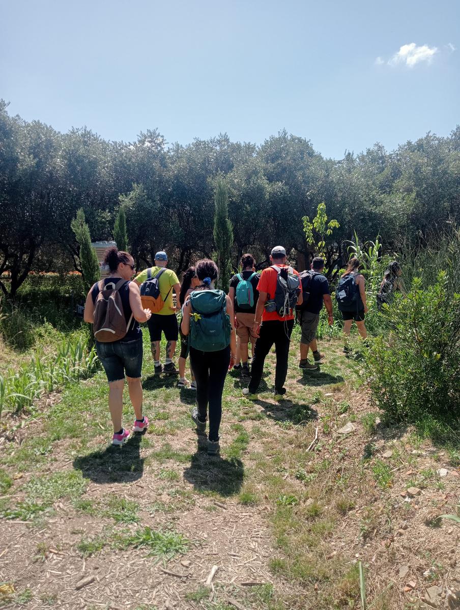 Massaciuccoli via delle erbe e fiori di loto - foto 9
