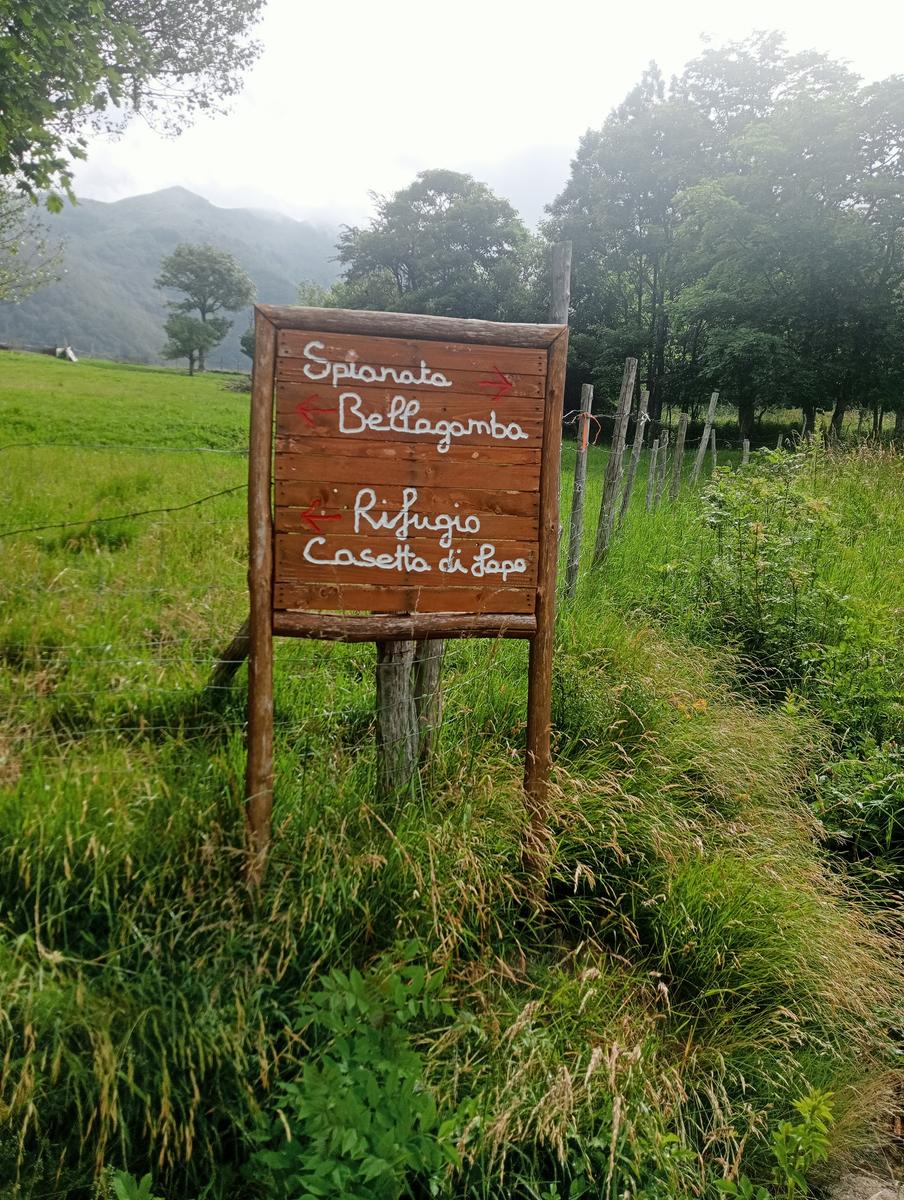 Lagoni libro Aperto da Bellagamba