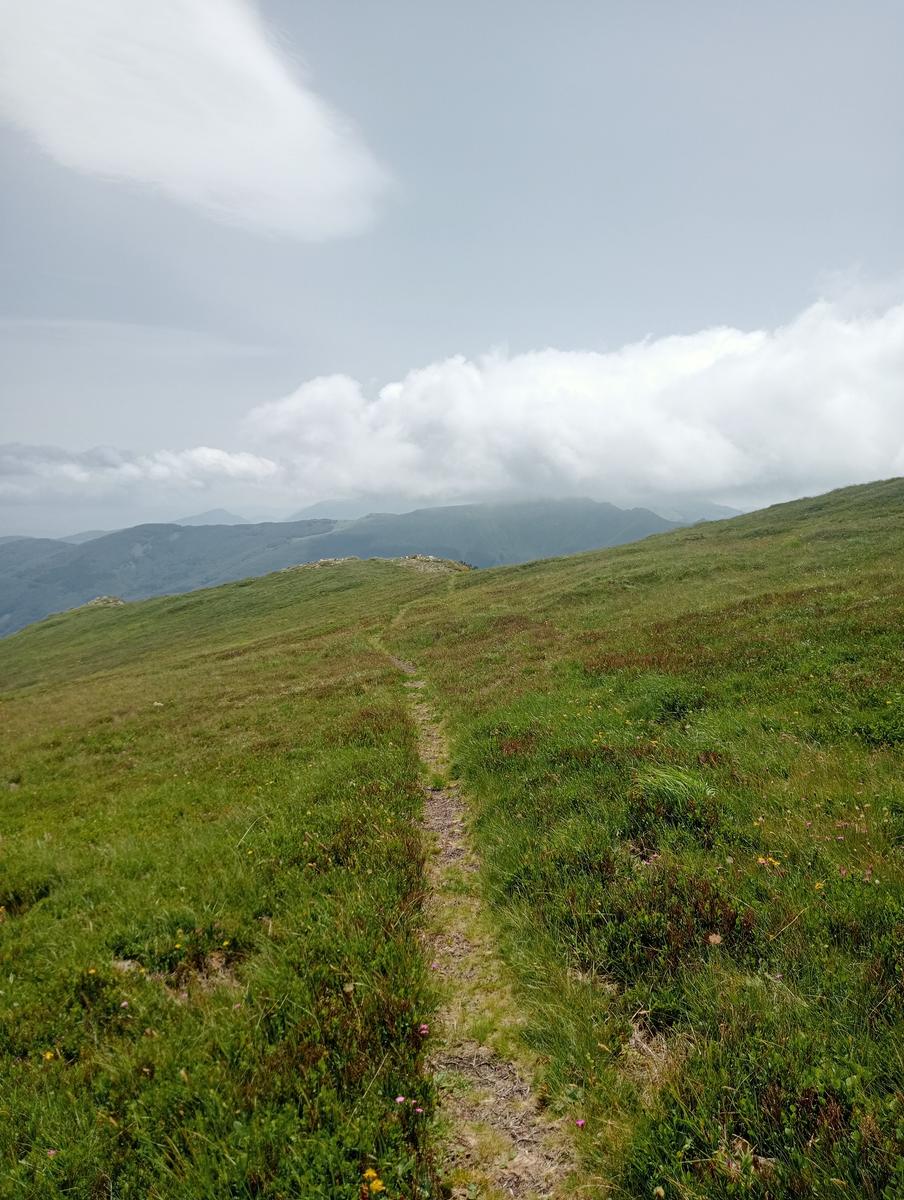 Lagoni libro Aperto da Bellagamba - foto 4