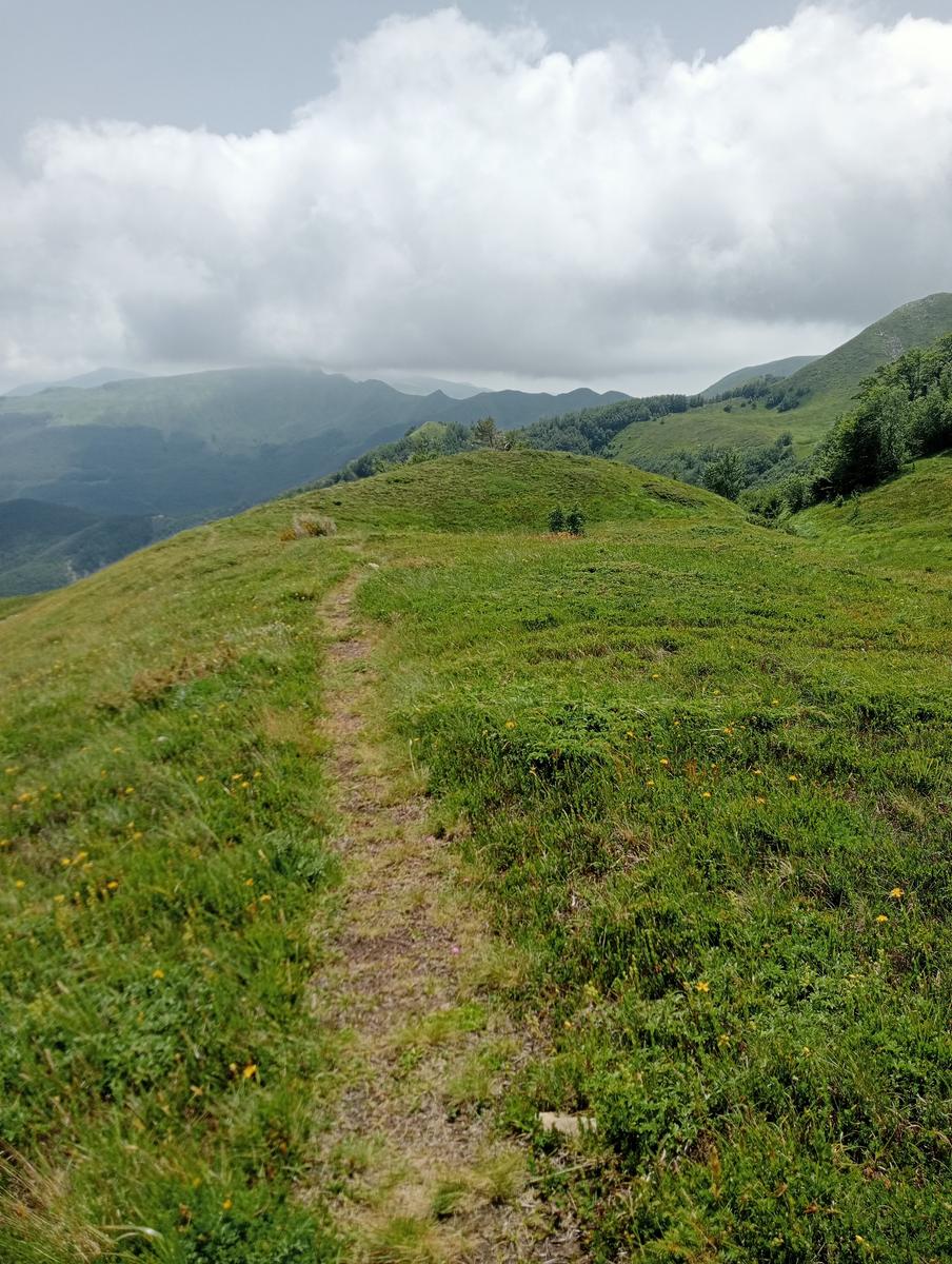 Lagoni libro Aperto da Bellagamba - foto 6
