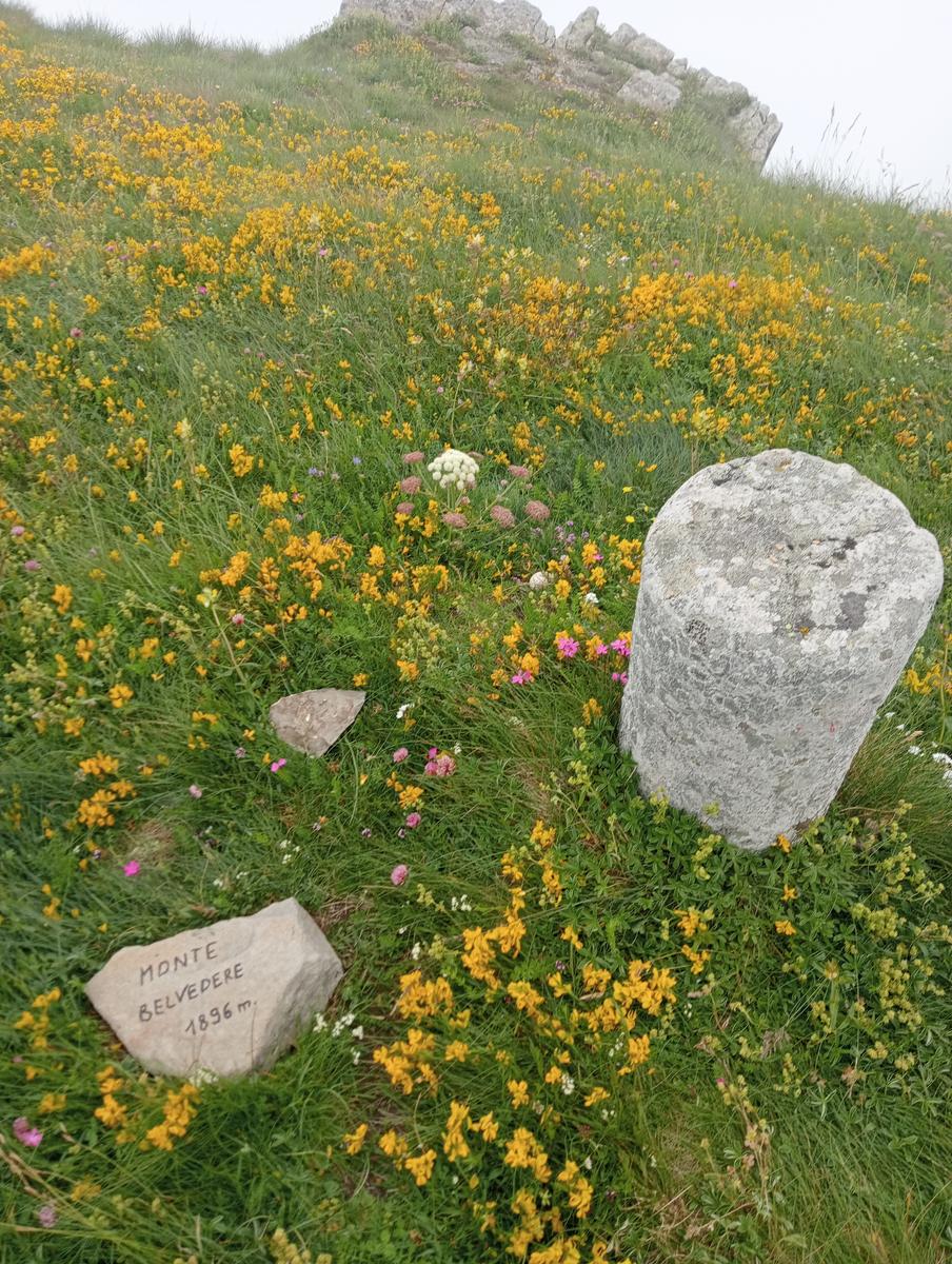 Lagoni libro Aperto da Bellagamba - foto 9