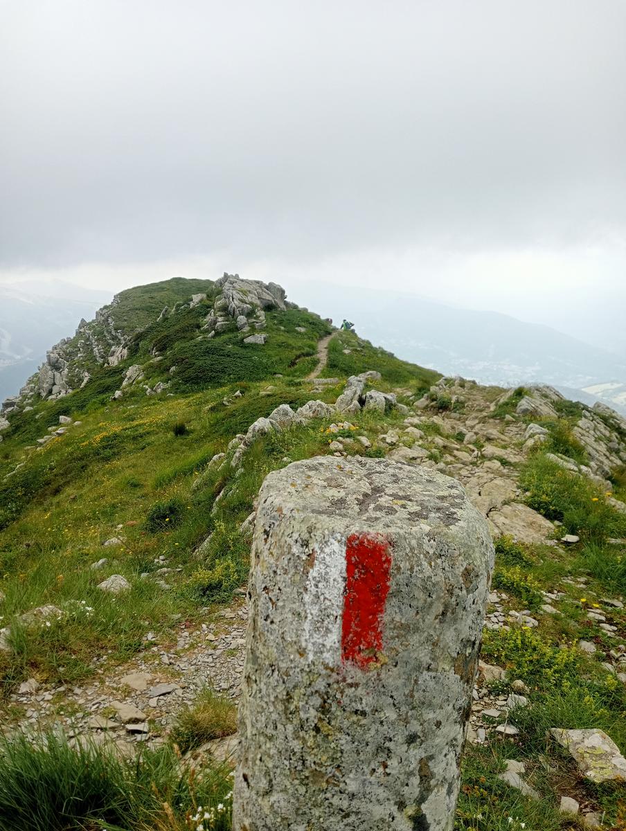 Lagoni libro Aperto da Bellagamba - foto 10