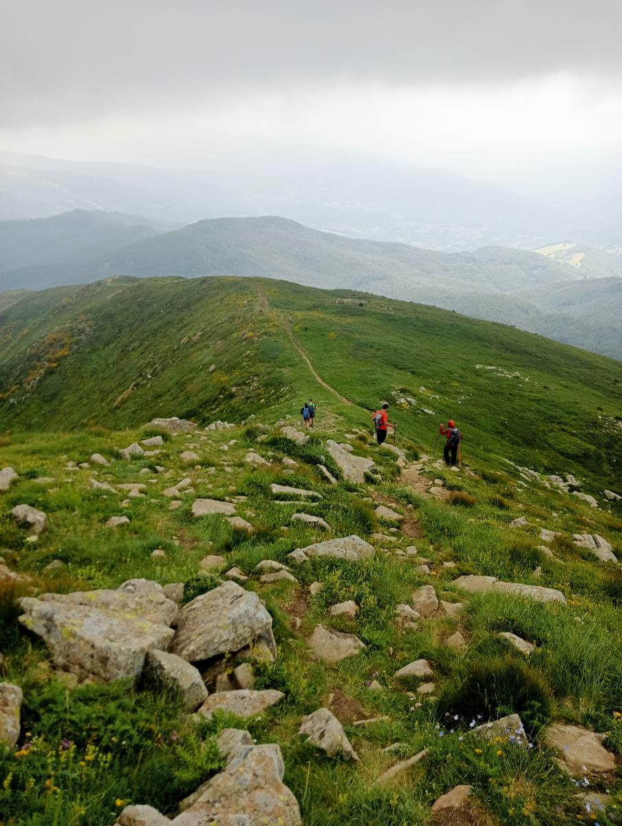 Lagoni libro Aperto da Bellagamba - foto 11