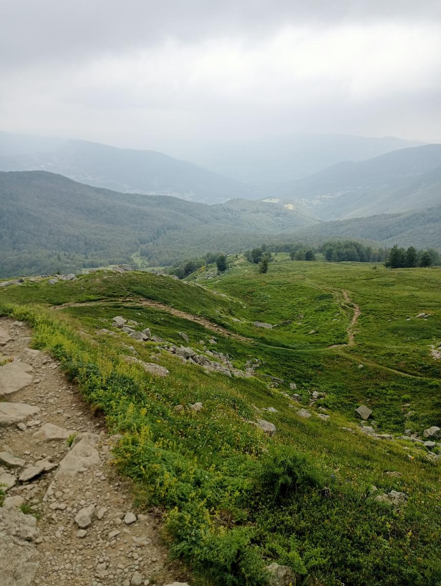 Lagoni libro Aperto da Bellagamba - foto 13