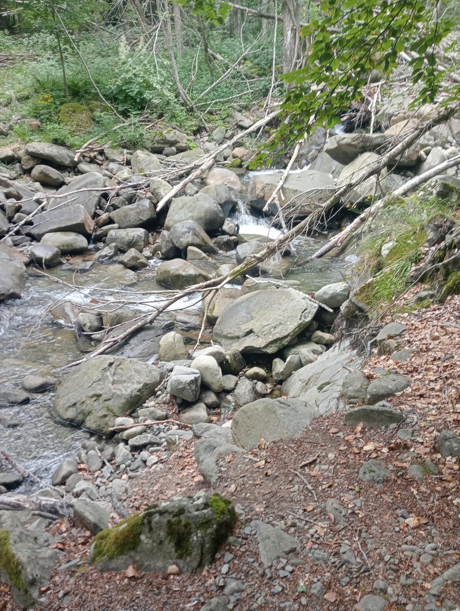 Lagoni libro Aperto da Bellagamba - foto 16