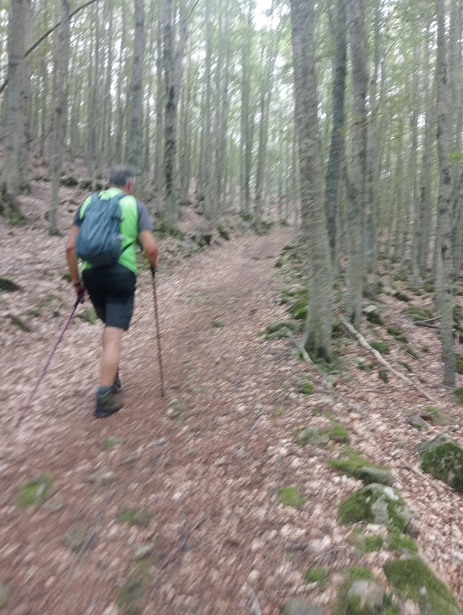 Lagoni libro Aperto da Bellagamba - foto 17