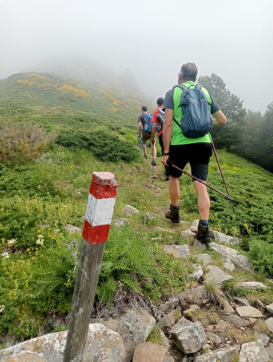 Lagoni libro Aperto da Bellagamba - foto 18