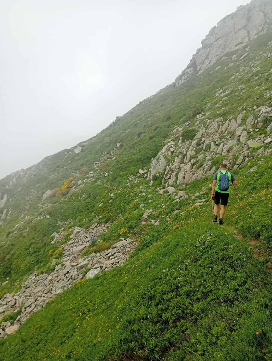 Lagoni libro Aperto da Bellagamba - foto 19