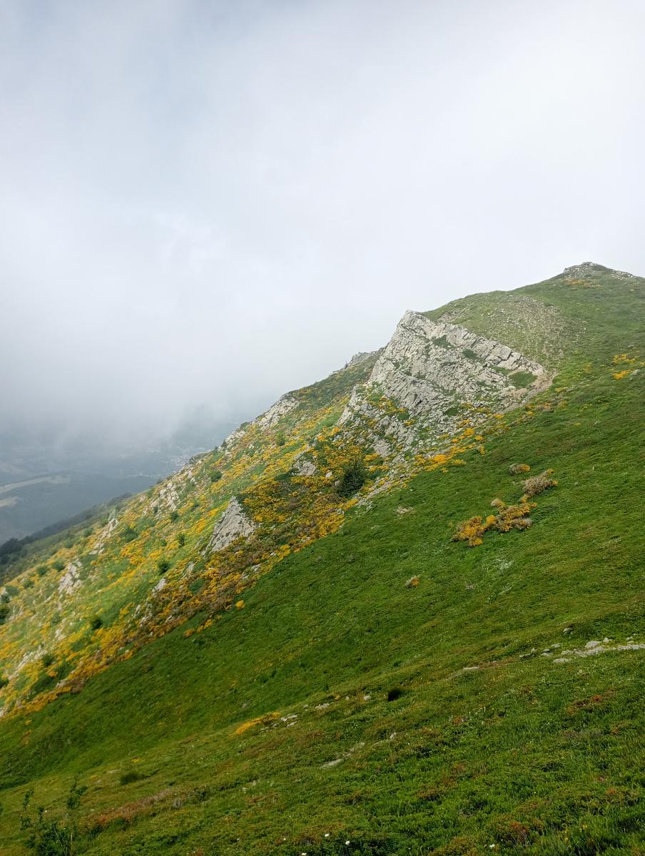 Lagoni libro Aperto da Bellagamba - foto 20