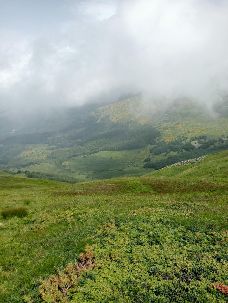 Lagoni libro Aperto da Bellagamba - foto 21