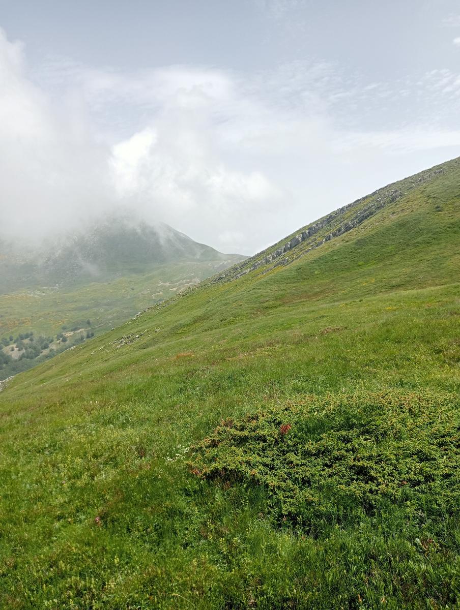 Lagoni libro Aperto da Bellagamba - foto 22