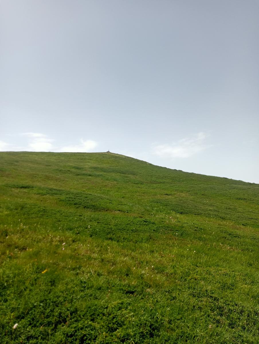 Lagoni libro Aperto da Bellagamba - foto 23