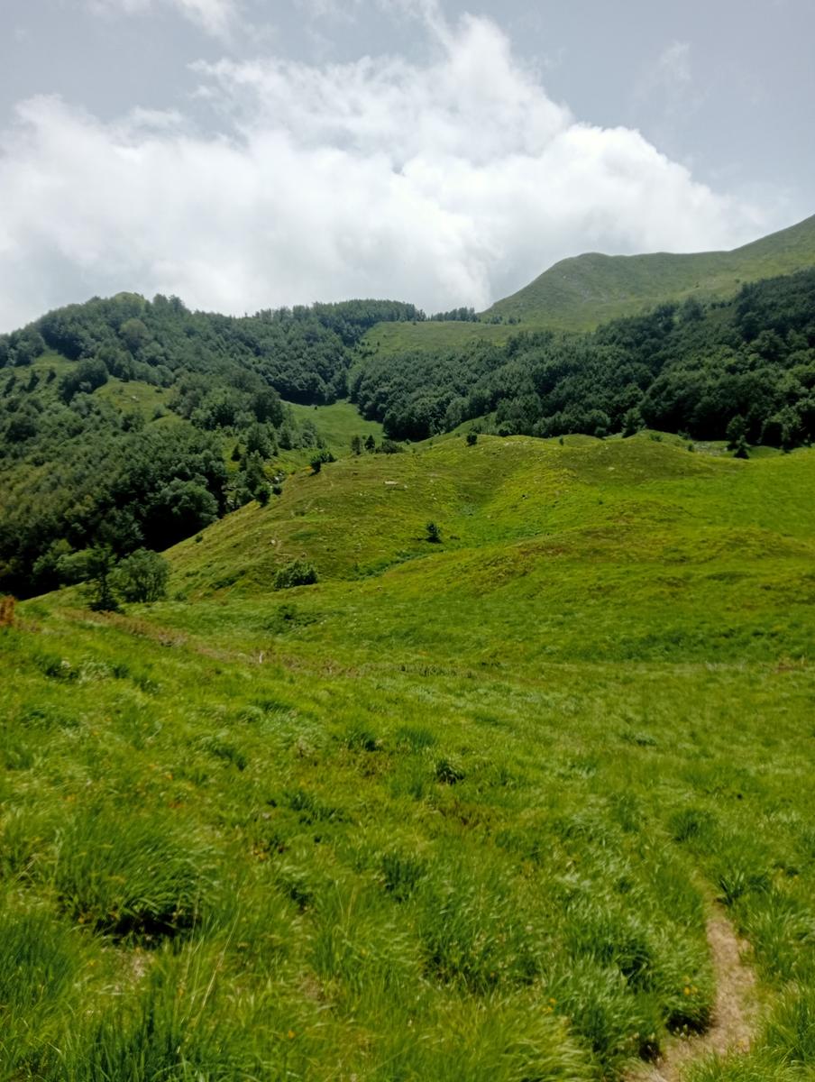Lagoni libro Aperto da Bellagamba - foto 24
