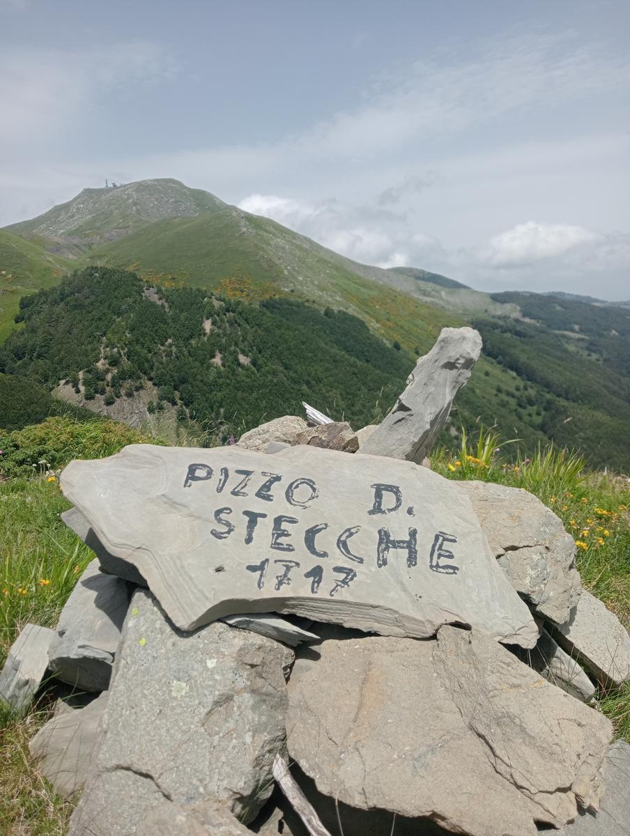 Lagoni libro Aperto da Bellagamba - foto 25