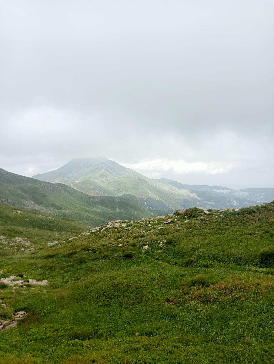 Lagoni libro Aperto da Bellagamba - foto 27