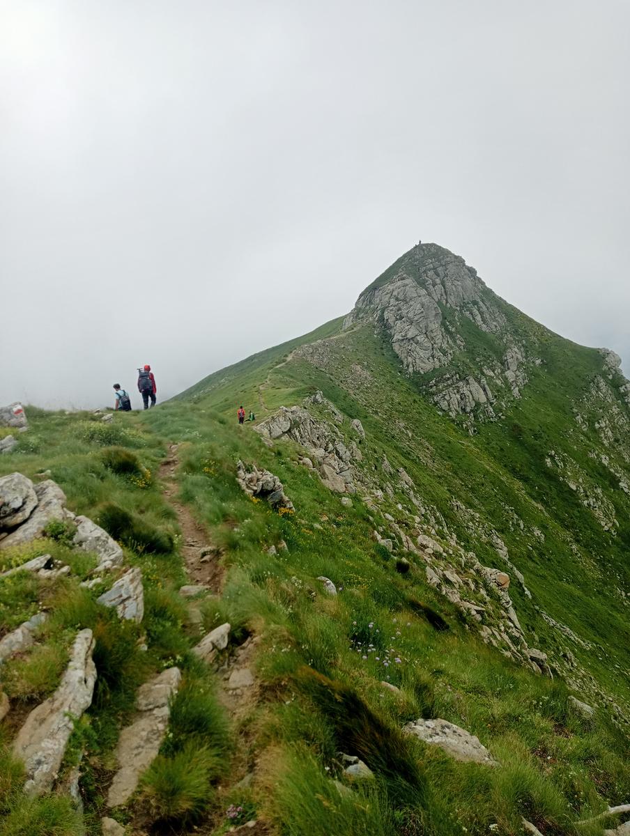 Lagoni libro Aperto da Bellagamba - foto 28