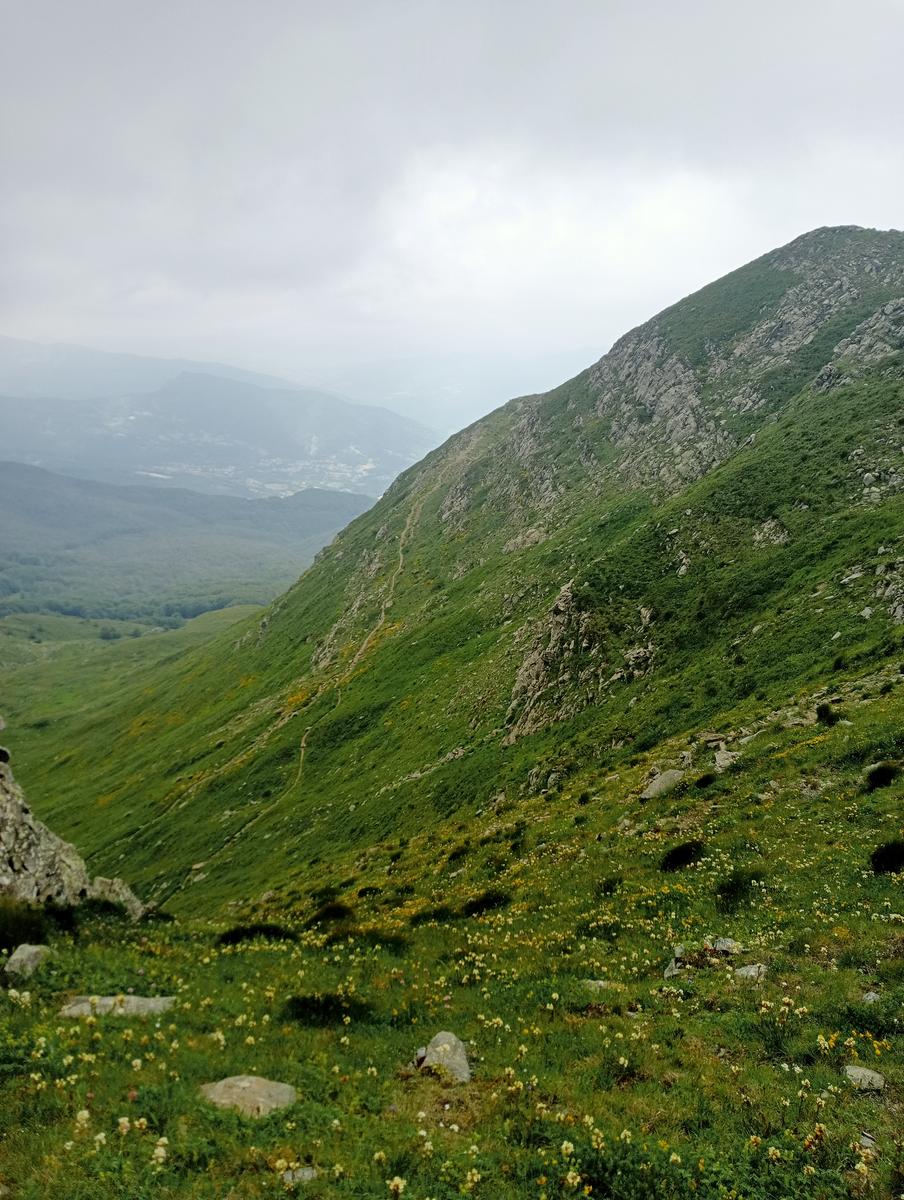 Lagoni libro Aperto da Bellagamba - foto 29