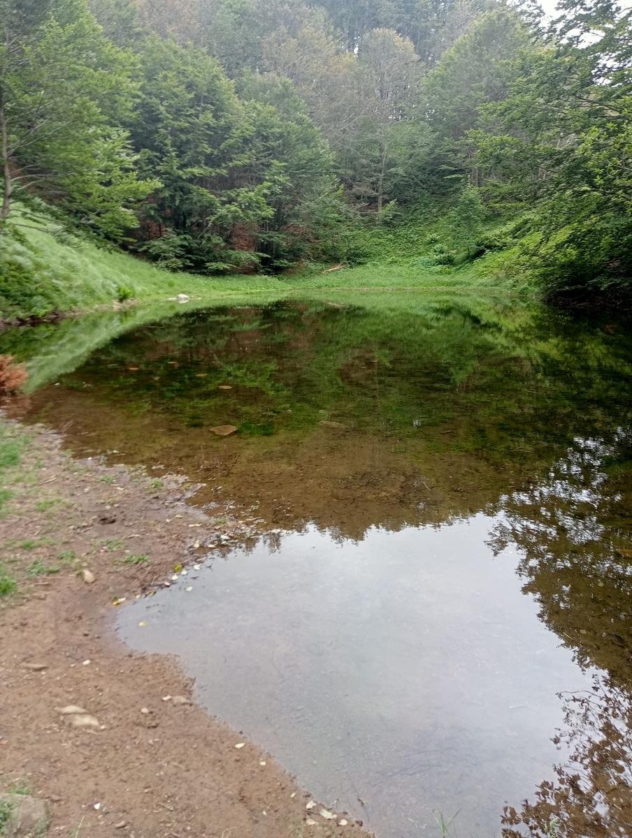 Lagoni libro Aperto da Bellagamba - foto 30