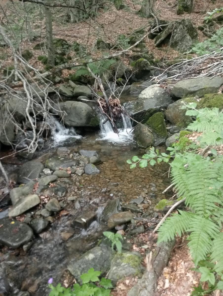 Lagoni libro Aperto da Bellagamba - foto 33