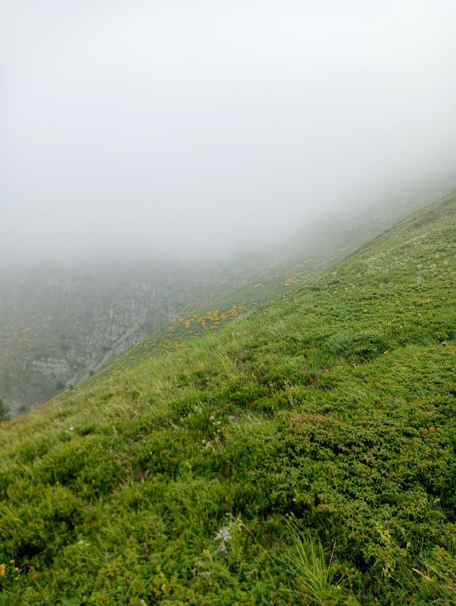 Lagoni libro Aperto da Bellagamba - foto 34