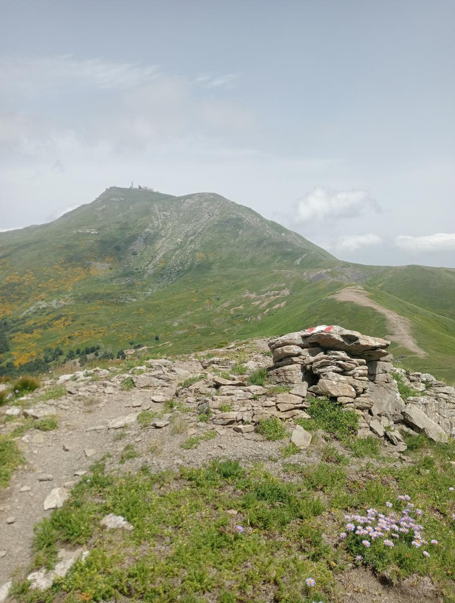 Lagoni libro Aperto da Bellagamba - foto 37