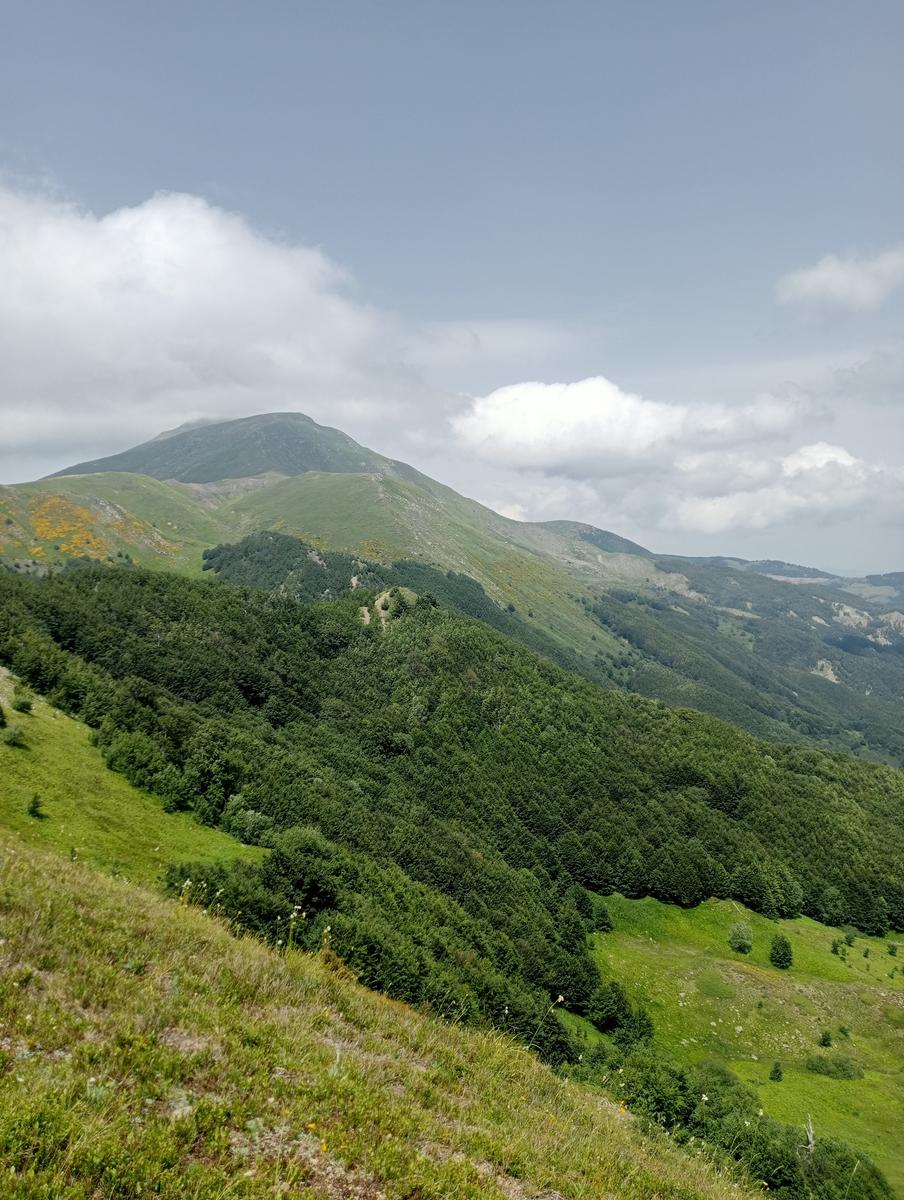 Lagoni libro Aperto da Bellagamba - foto 38