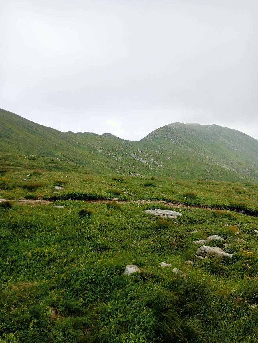 Lagoni libro Aperto da Bellagamba - foto 39