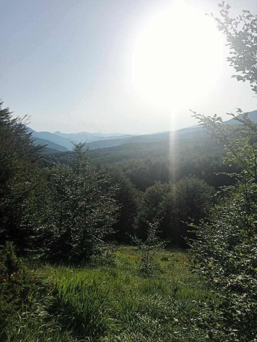 Monte Alto, Passo di Pietra Tagliata e Alpe di Succiso da Passo del Cerreto - foto 2