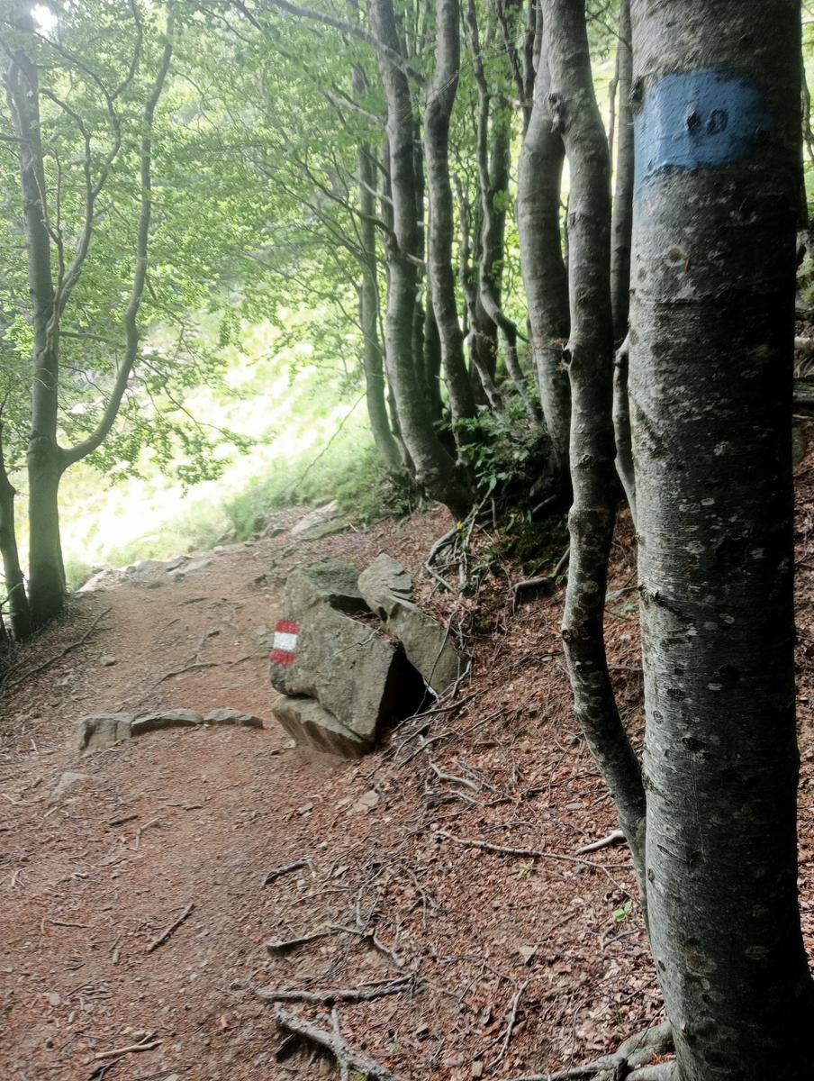 Monte Alto, Passo di Pietra Tagliata e Alpe di Succiso da Passo del Cerreto - foto 8