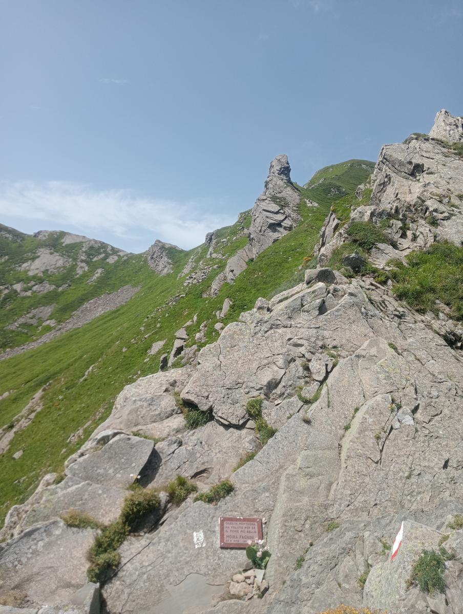 Monte Alto, Passo di Pietra Tagliata e Alpe di Succiso da Passo del Cerreto - foto 16
