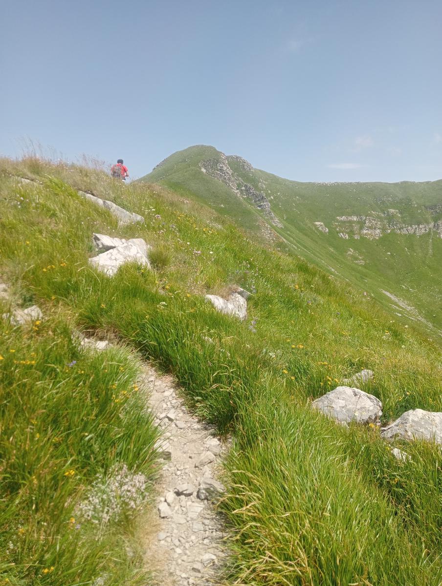 Monte Alto, Passo di Pietra Tagliata e Alpe di Succiso da Passo del Cerreto - foto 17