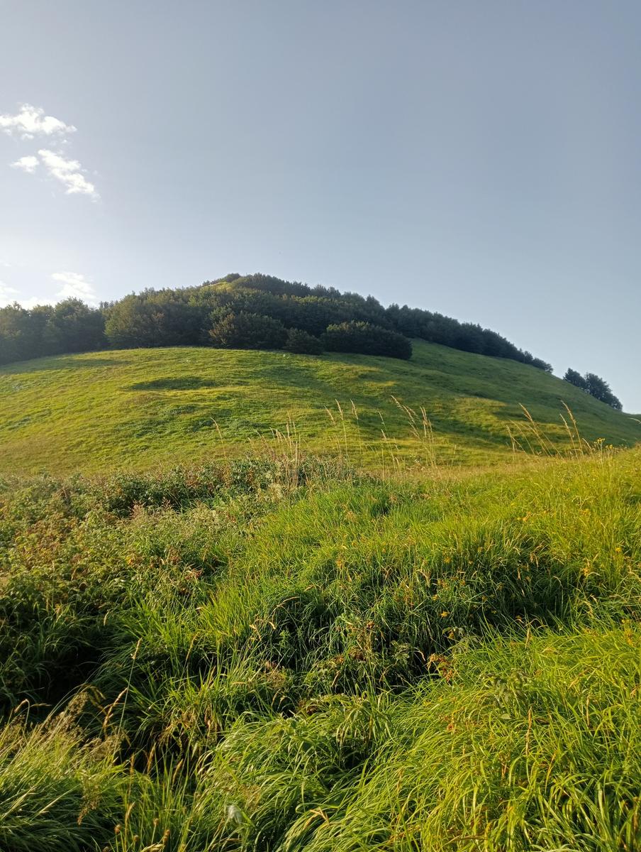 Monte Alto, Passo di Pietra Tagliata e Alpe di Succiso da Passo del Cerreto - foto 21
