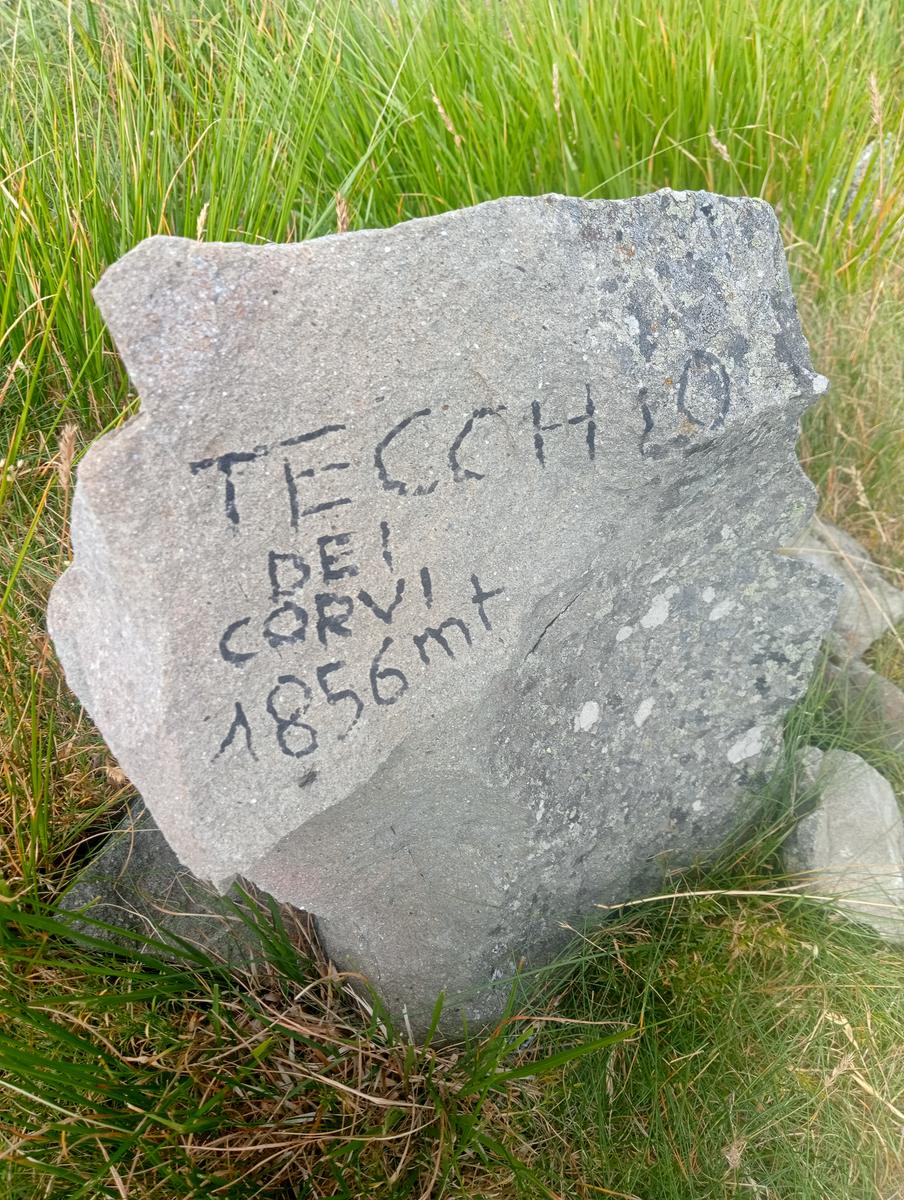 Monte Alto, Passo di Pietra Tagliata e Alpe di Succiso da Passo del Cerreto - foto 25