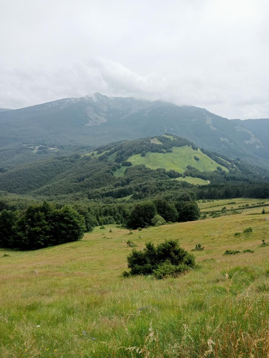 Monte Alto, Passo di Pietra Tagliata e Alpe di Succiso da Passo del Cerreto - foto 26