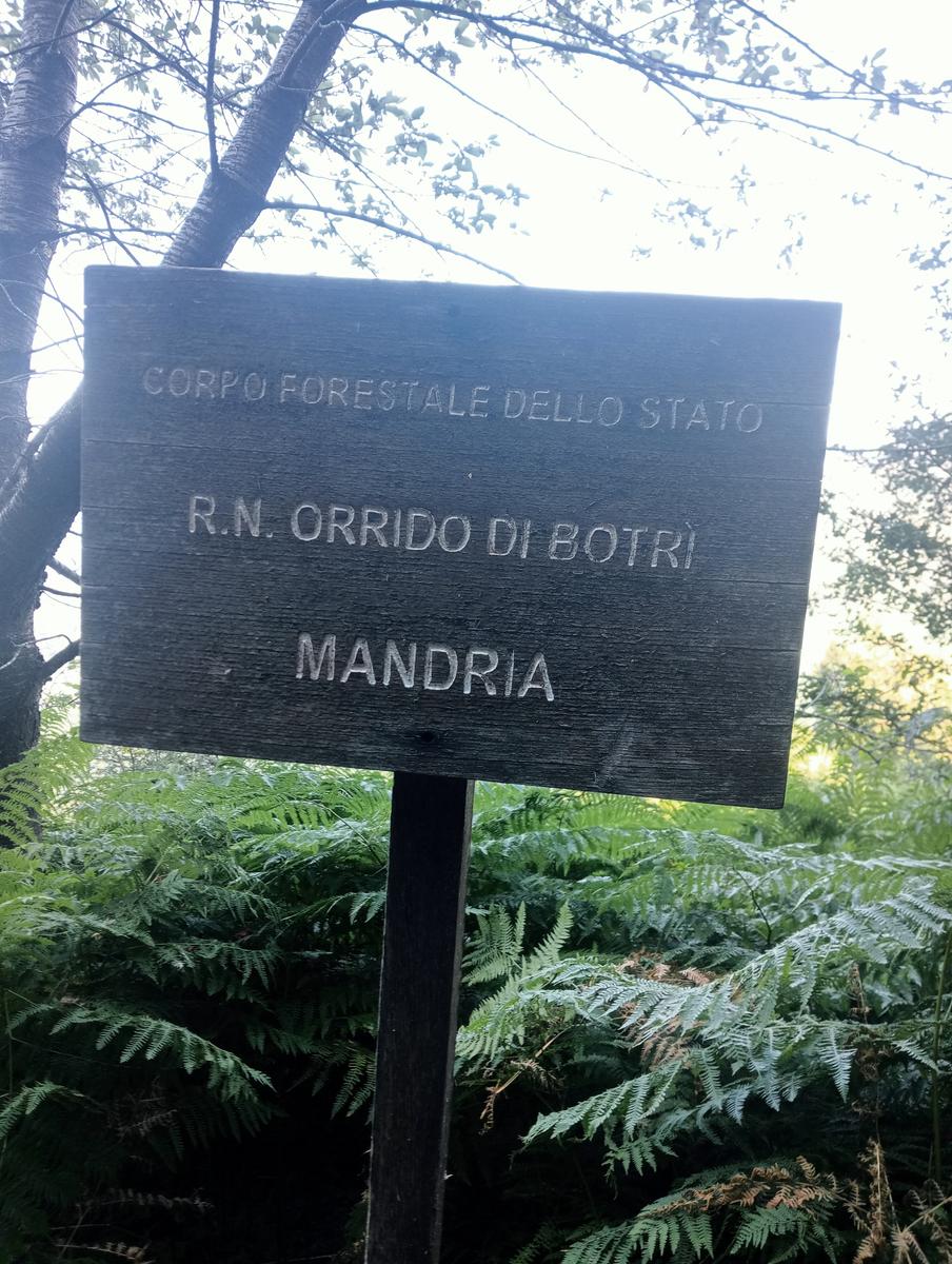 Dal Rif.Donegani a Lagonero passando per sopra l'orrido di botri - foto 4