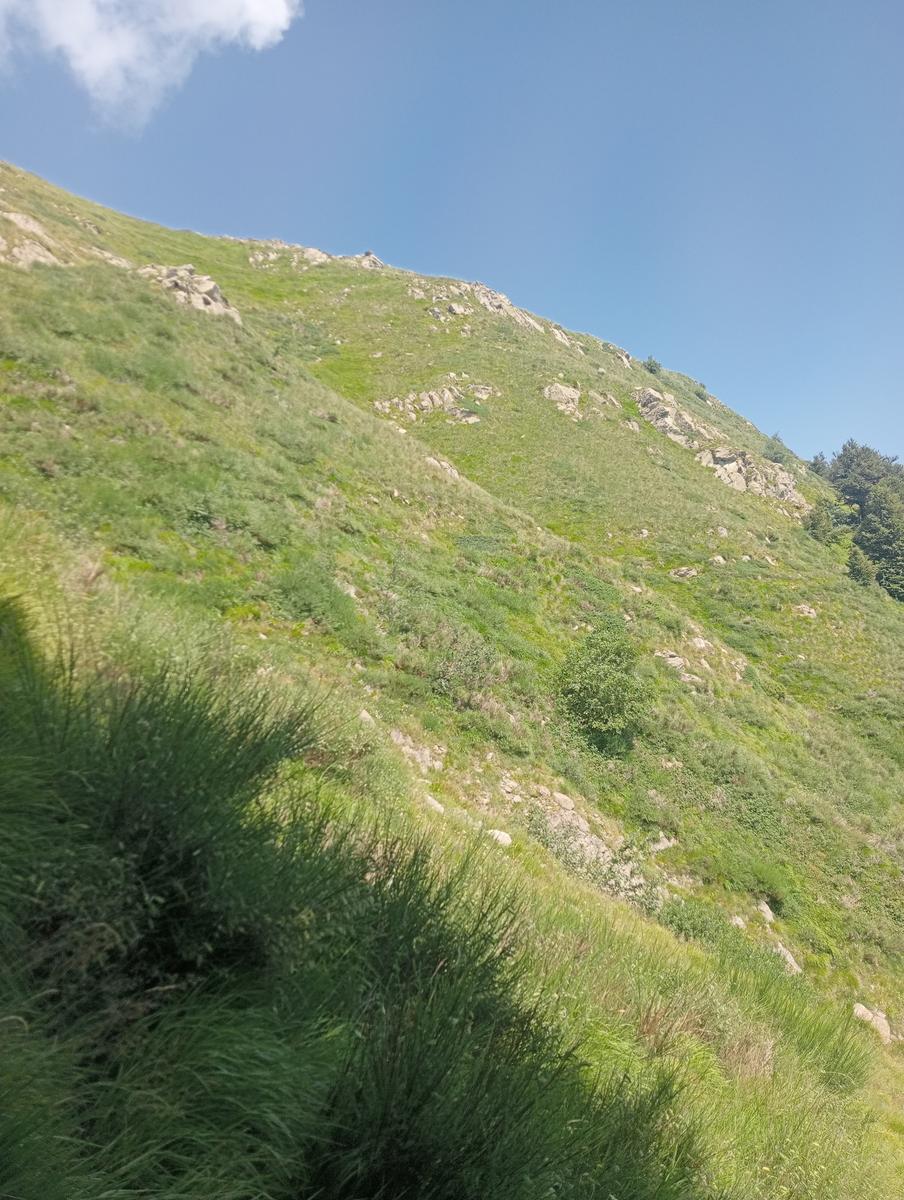 Dal Rif.Donegani a Lagonero passando per sopra l'orrido di botri - foto 10